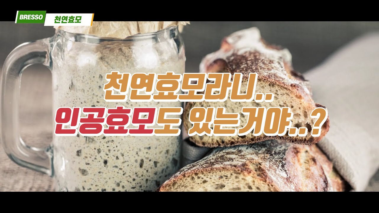 천연 발효종 만들기 A to Z - 건강하고 맛있는 장인의 빵 비밀