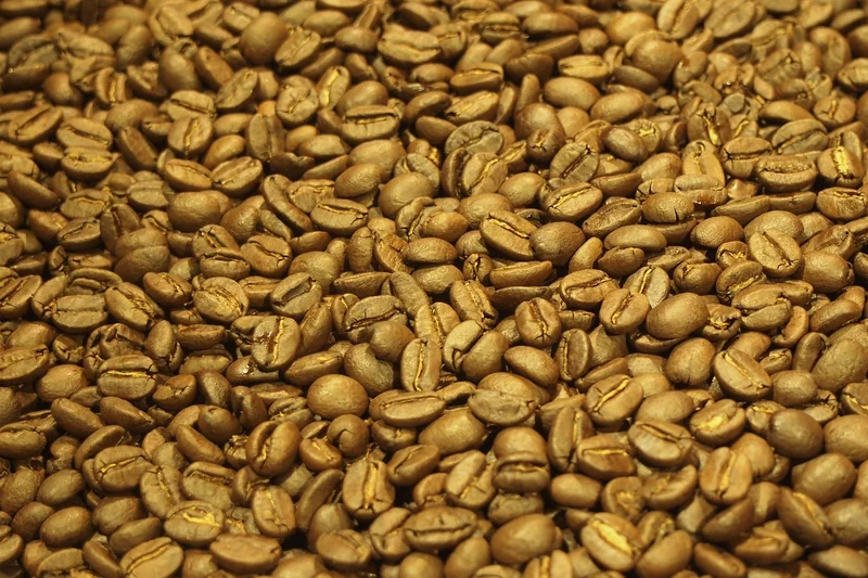 디카페인 원두 추천